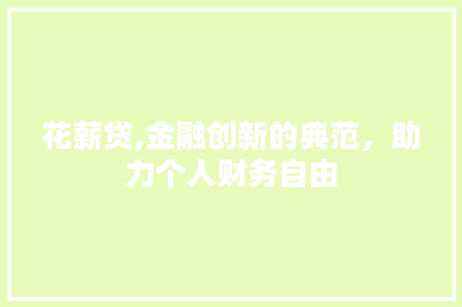 花薪贷,金融创新的典范，助力个人财务自由 网络技术