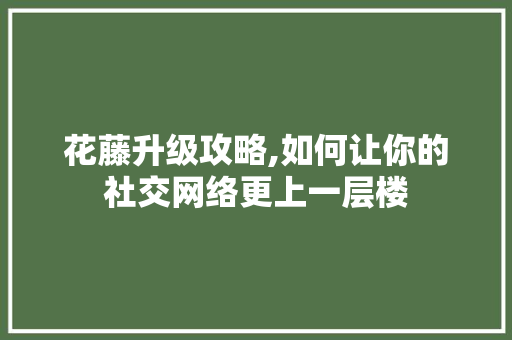 花藤升级攻略,如何让你的社交网络更上一层楼 电脑故障维修