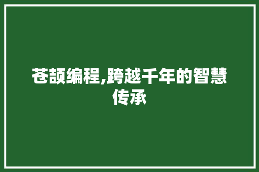 苍颉编程,跨越千年的智慧传承