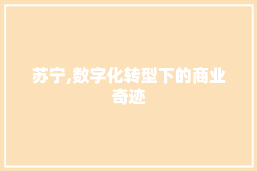 苏宁,数字化转型下的商业奇迹