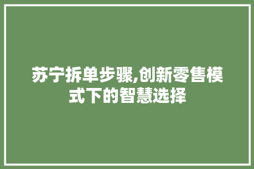 苏宁拆单步骤,创新零售模式下的智慧选择