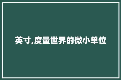 英寸,度量世界的微小单位