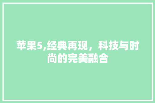 苹果5,经典再现，科技与时尚的完美融合