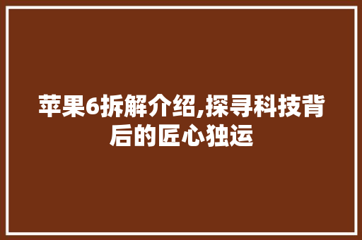 苹果6拆解介绍,探寻科技背后的匠心独运 苹果6拆解介绍,探寻科技背后的匠心独运