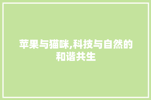 苹果与猫咪,科技与自然的和谐共生 苹果与猫咪,科技与自然的和谐共生
