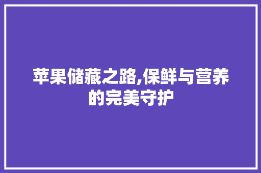 苹果储藏之路,保鲜与营养的完美守护