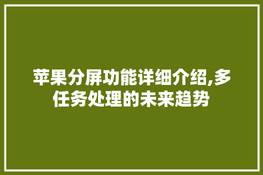 苹果分屏功能详细介绍,多任务处理的未来趋势 网络技术