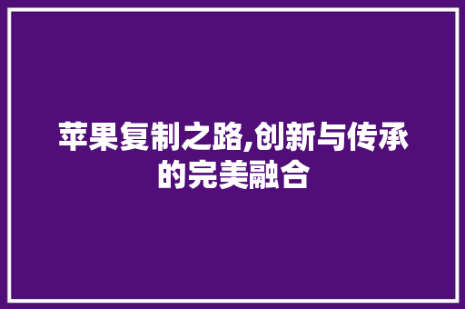 苹果复制之路,创新与传承的完美融合 电脑基础