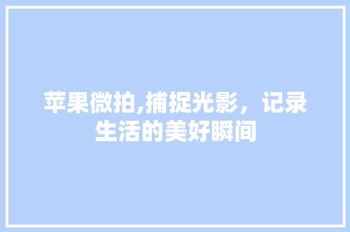 苹果微拍,捕捉光影，记录生活的美好瞬间 电脑配置