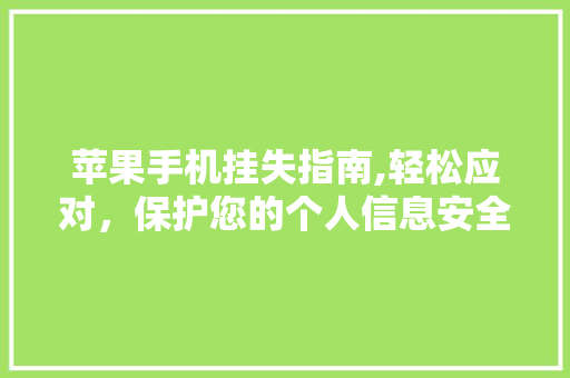 苹果手机挂失指南,轻松应对，保护您的个人信息安全 电脑故障维修