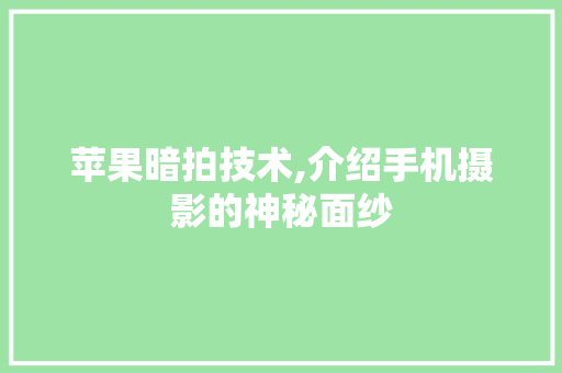 苹果暗拍技术,介绍手机摄影的神秘面纱 编程语言