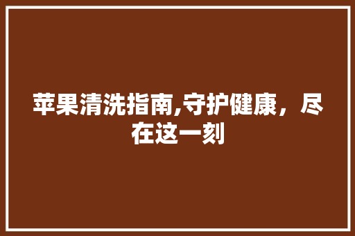 苹果清洗指南,守护健康，尽在这一刻 编程语言