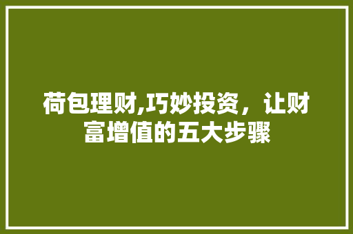 荷包理财,巧妙投资，让财富增值的五大步骤
