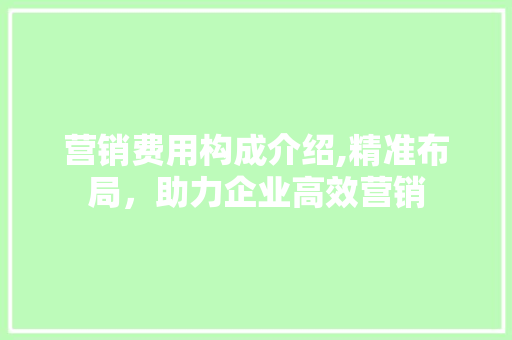 营销费用构成介绍,精准布局，助力企业高效营销