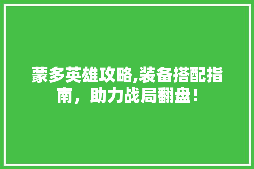 蒙多英雄攻略,装备搭配指南，助力战局翻盘！