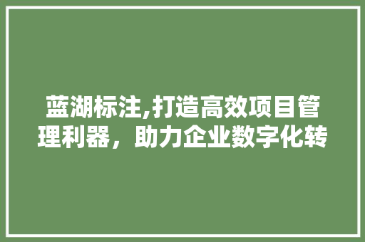 蓝湖标注,打造高效项目管理利器，助力企业数字化转型