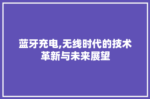 蓝牙充电,无线时代的技术革新与未来展望 电脑基础