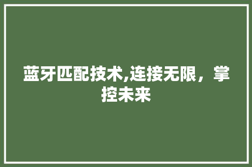 蓝牙匹配技术,连接无限，掌控未来 电脑基础