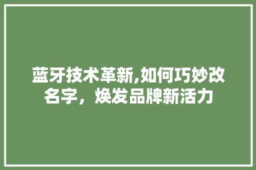 蓝牙技术革新,如何巧妙改名字，焕发品牌新活力 电脑基础