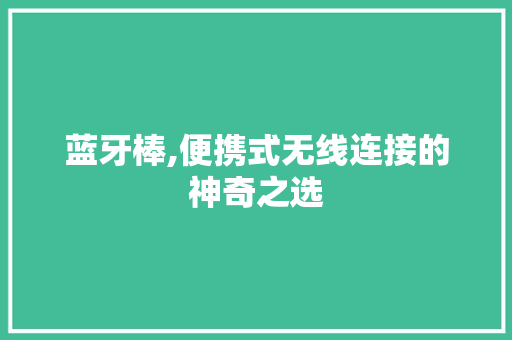 蓝牙棒,便携式无线连接的神奇之选 编程语言