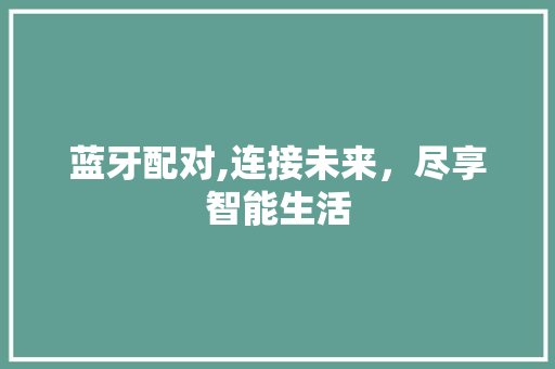 蓝牙配对,连接未来，尽享智能生活 操作系统