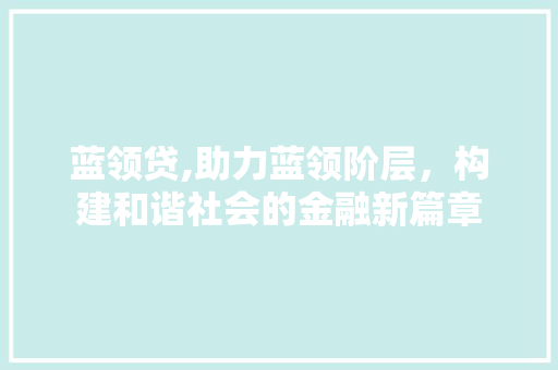 蓝领贷,助力蓝领阶层，构建和谐社会的金融新篇章 编程语言