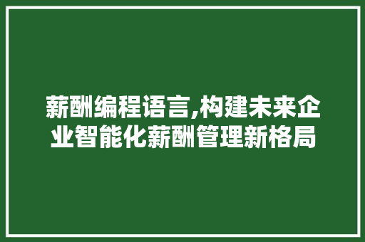 薪酬编程语言,构建未来企业智能化薪酬管理新格局 电脑配置