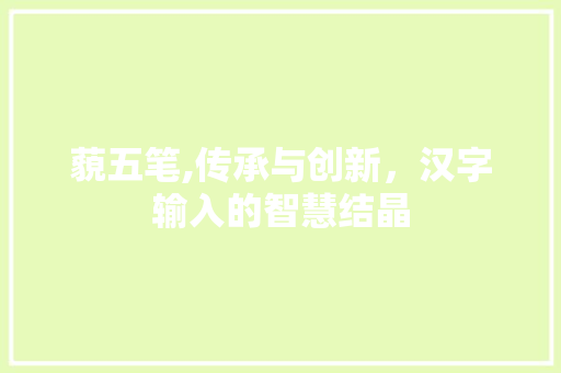藐五笔,传承与创新，汉字输入的智慧结晶 电脑配置