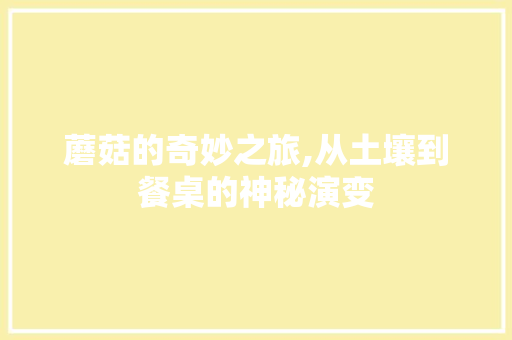 蘑菇的奇妙之旅,从土壤到餐桌的神秘演变 蘑菇的奇妙之旅,从土壤到餐桌的神秘演变