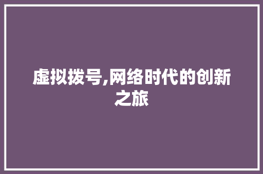 虚拟拨号,网络时代的创新之旅