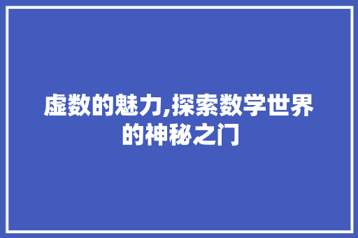 虚数的魅力,探索数学世界的神秘之门