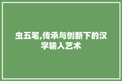 虫五笔,传承与创新下的汉字输入艺术