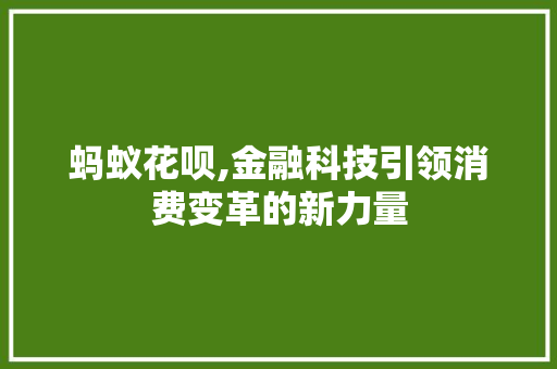 蚂蚁花呗,金融科技引领消费变革的新力量