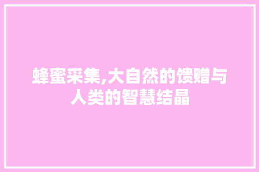 蜂蜜采集,大自然的馈赠与人类的智慧结晶 编程语言 蜂蜜采集,大自然的馈赠与人类的智慧结晶 编程语言