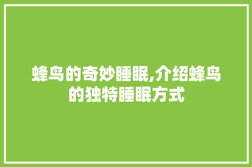 蜂鸟的奇妙睡眠,介绍蜂鸟的独特睡眠方式