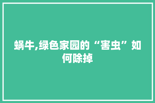 蜗牛,绿色家园的“害虫”如何除掉