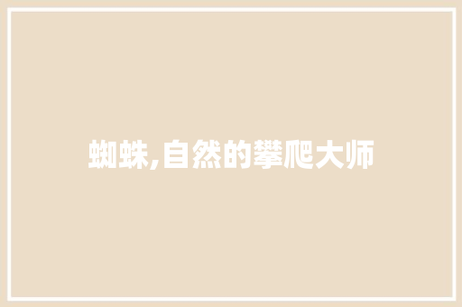 蜘蛛,自然的攀爬大师