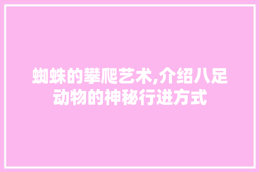 蜘蛛的攀爬艺术,介绍八足动物的神秘行进方式
