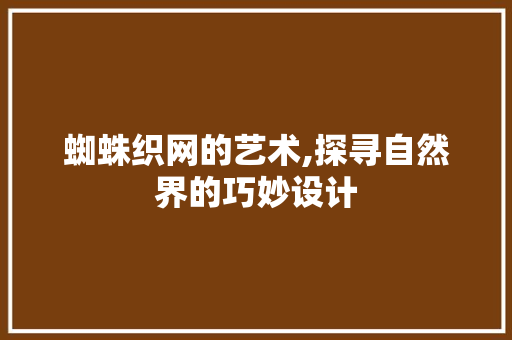 蜘蛛织网的艺术,探寻自然界的巧妙设计