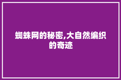 蜘蛛网的秘密,大自然编织的奇迹 蜘蛛网的秘密,大自然编织的奇迹