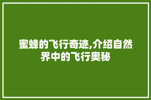 蜜蜂的飞行奇迹,介绍自然界中的飞行奥秘