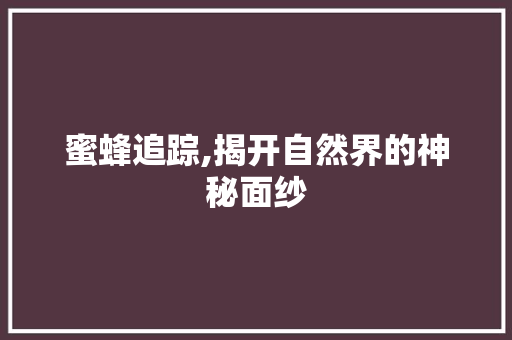 蜜蜂追踪,揭开自然界的神秘面纱 蜜蜂追踪,揭开自然界的神秘面纱