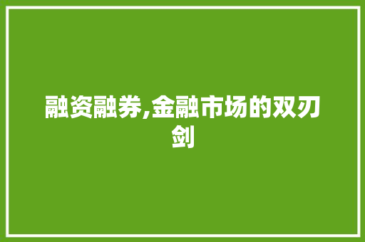 融资融券,金融市场的双刃剑 电脑基础