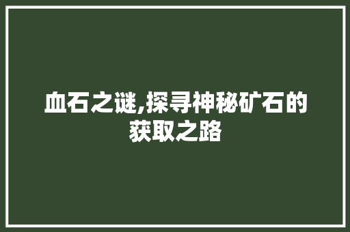 血石之谜,探寻神秘矿石的获取之路 网络技术