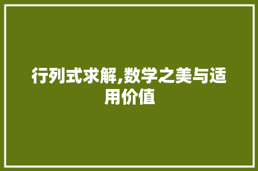 行列式求解,数学之美与适用价值