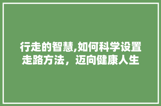 行走的智慧,如何科学设置走路方法，迈向健康人生