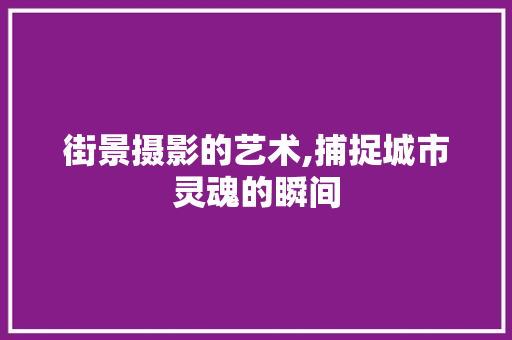 街景摄影的艺术,捕捉城市灵魂的瞬间