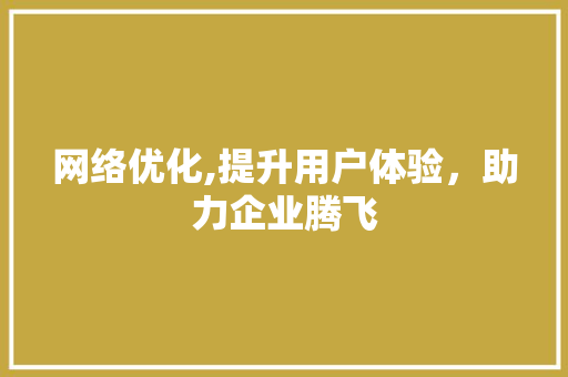 网络优化,提升用户体验，助力企业腾飞