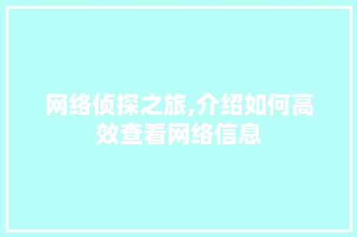 网络侦探之旅,介绍如何高效查看网络信息