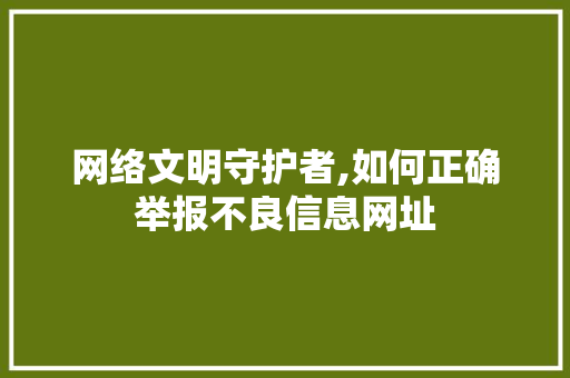 网络文明守护者,如何正确举报不良信息网址